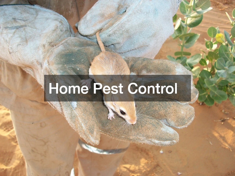 pest control